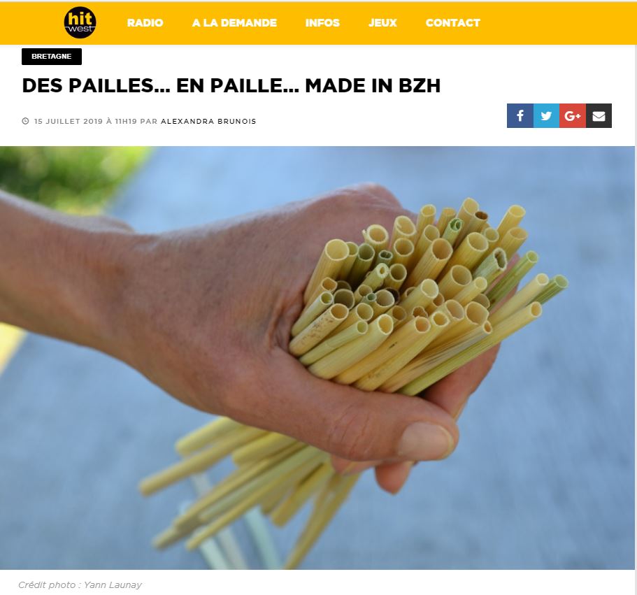 Plouzenn des pailles made in BZH